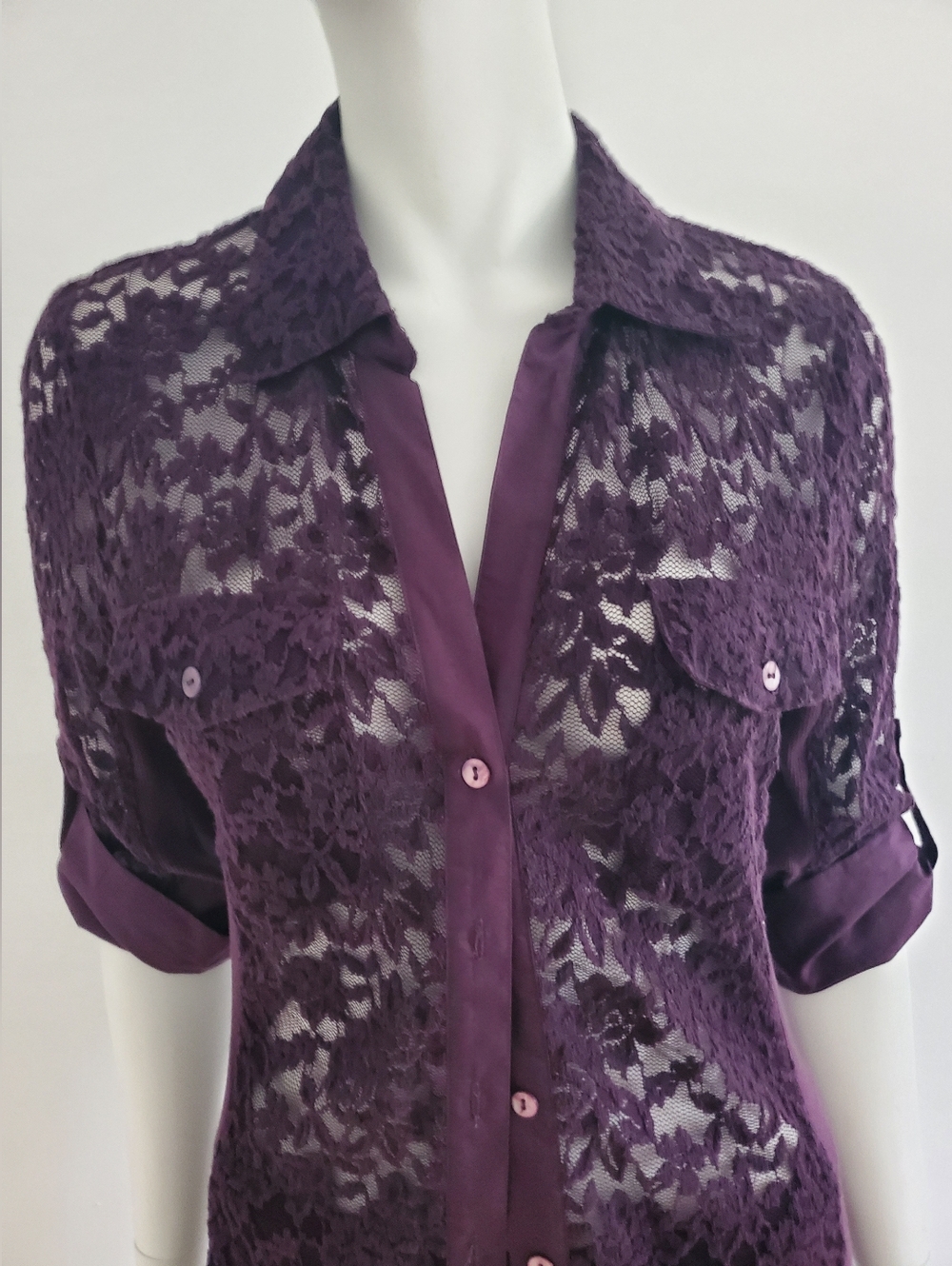 Sheer Blouse - Picture 3 of 8